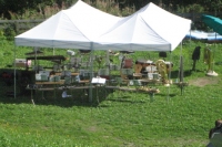 camp10_548
