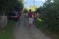 camp11_359